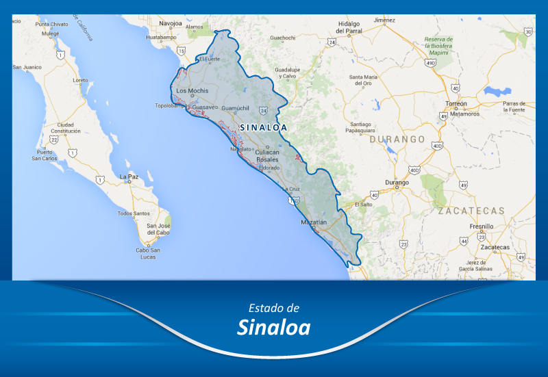 Mudanzas y Fletes a Sinaloa